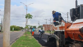 WhatsApp Image 2026-02-09 at 11.19.45 (1)