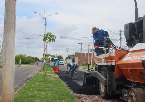 WhatsApp Image 2026-02-09 at 11.19.45 (1)